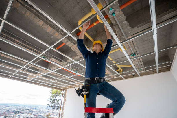 Best Plumbing Services Near Me  in Hidden Hills, CA